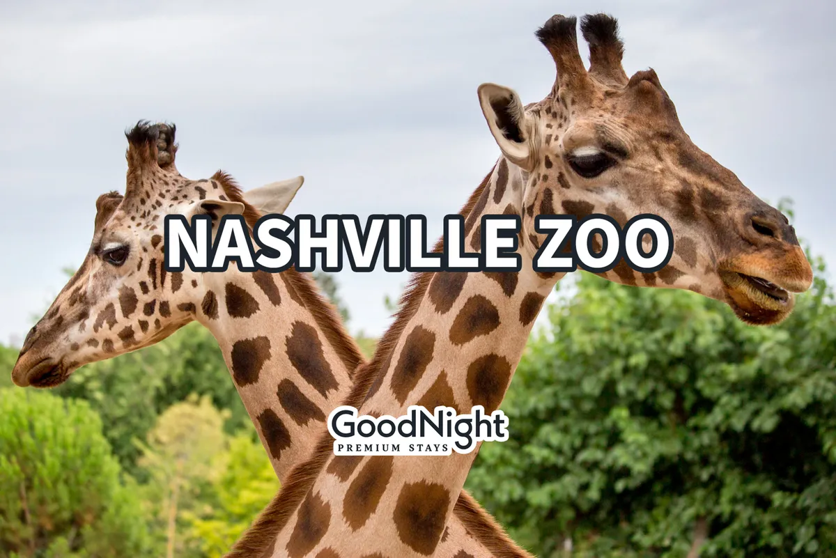 This image captures giraffes in a lush, green environment at the Nashville Zoo, illustrating a popular family destination just a short drive from the property. The vibrant greenery and presence of animals evoke a sense of wonder and family-friendly adventure.